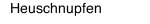 Heuschnupfen